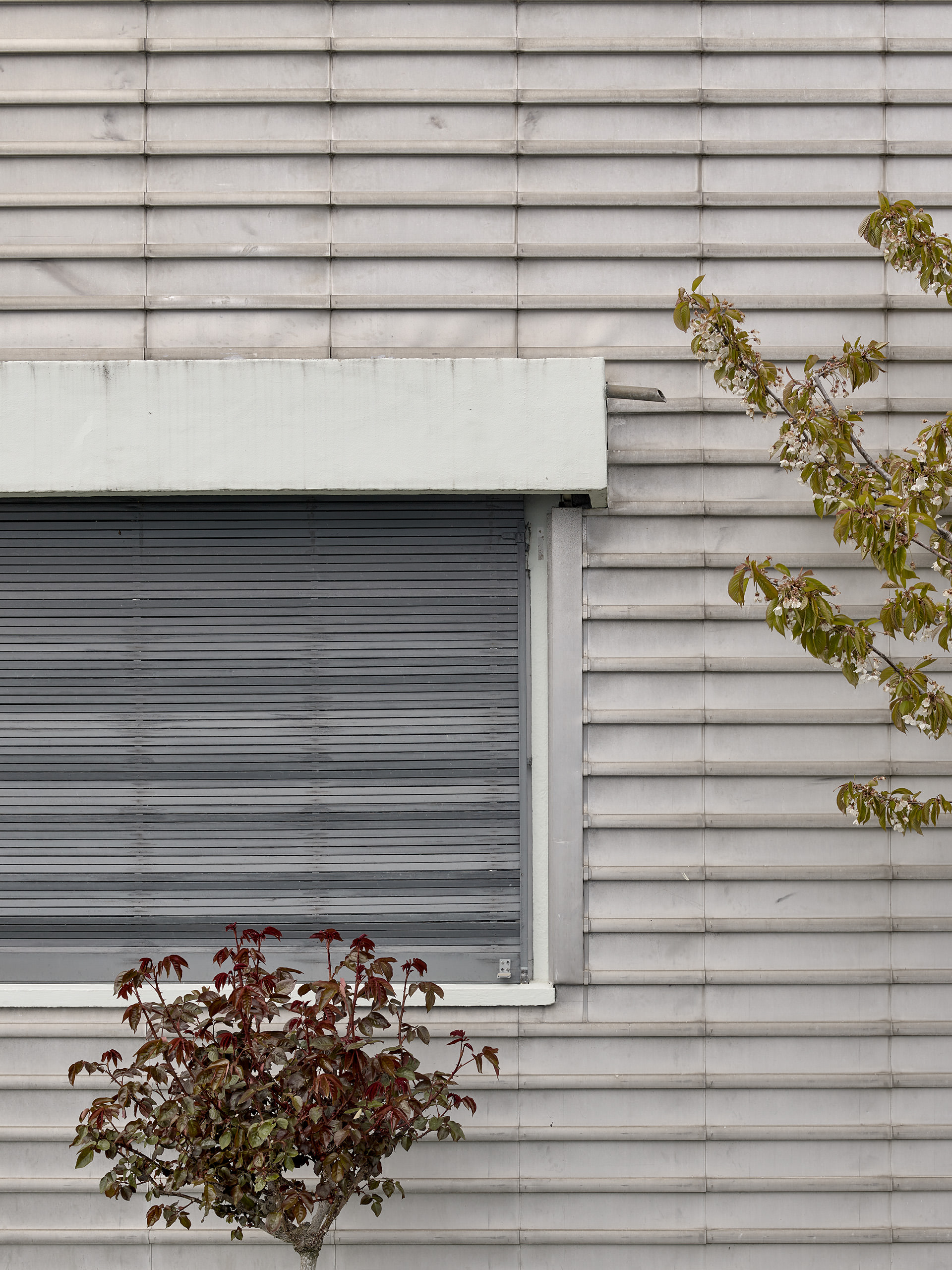 Villa Le Lac, Corseaux